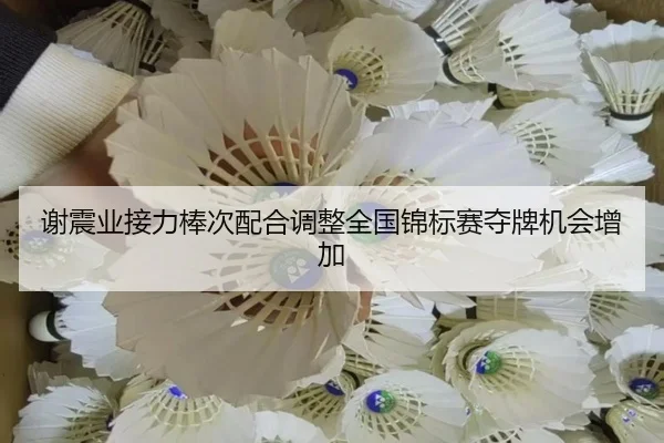 谢震业接力棒次配合调整全国锦标赛夺牌机会增加